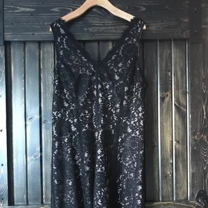 Loft Lace Skater Dress